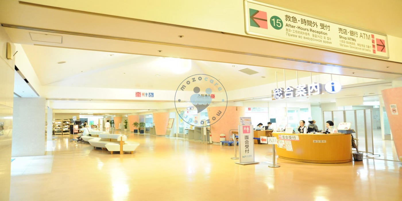 The University Hospital of Tokyo Tokyo Japan
