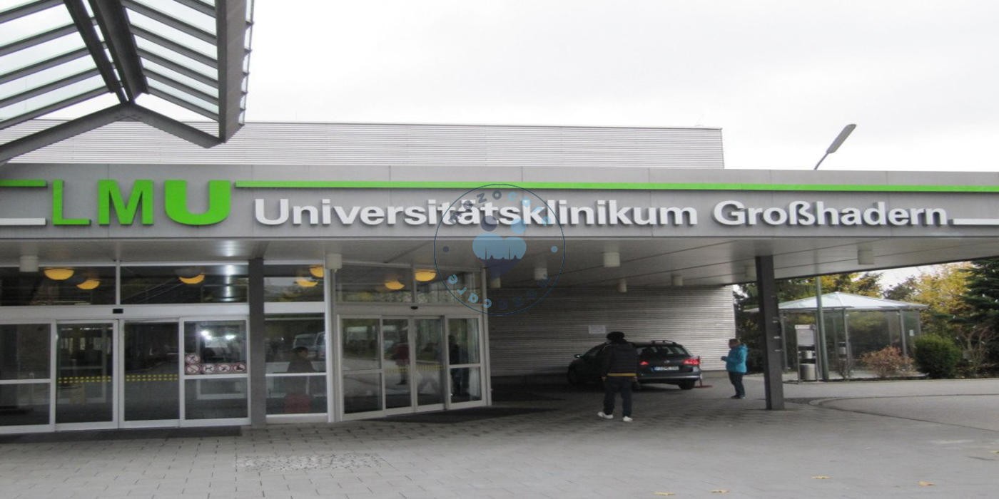 University Hospital of Munich (LMU) Munich Germany